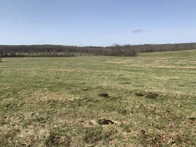 Kelly Road Ranch in Raymondville, Missouri - photo 4