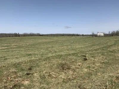 Kelly Road Ranch in Raymondville, Missouri - photo 5