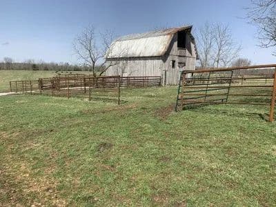 Kelly Road Ranch in Raymondville, Missouri - photo 6
