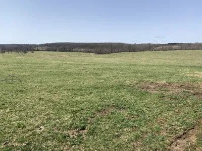 Kelly Road Ranch in Raymondville, Missouri - photo 7