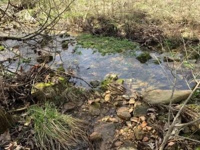 Kelly Road Ranch in Raymondville, Missouri - photo 8