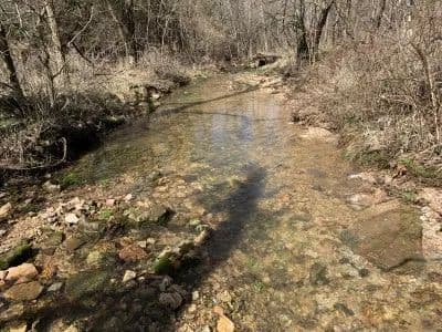 Kelly Road Ranch in Raymondville, Missouri - photo 2