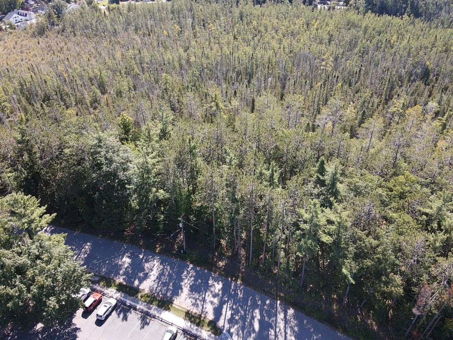 Vacant Land in Indian River - Indian River, Michigan, 49749