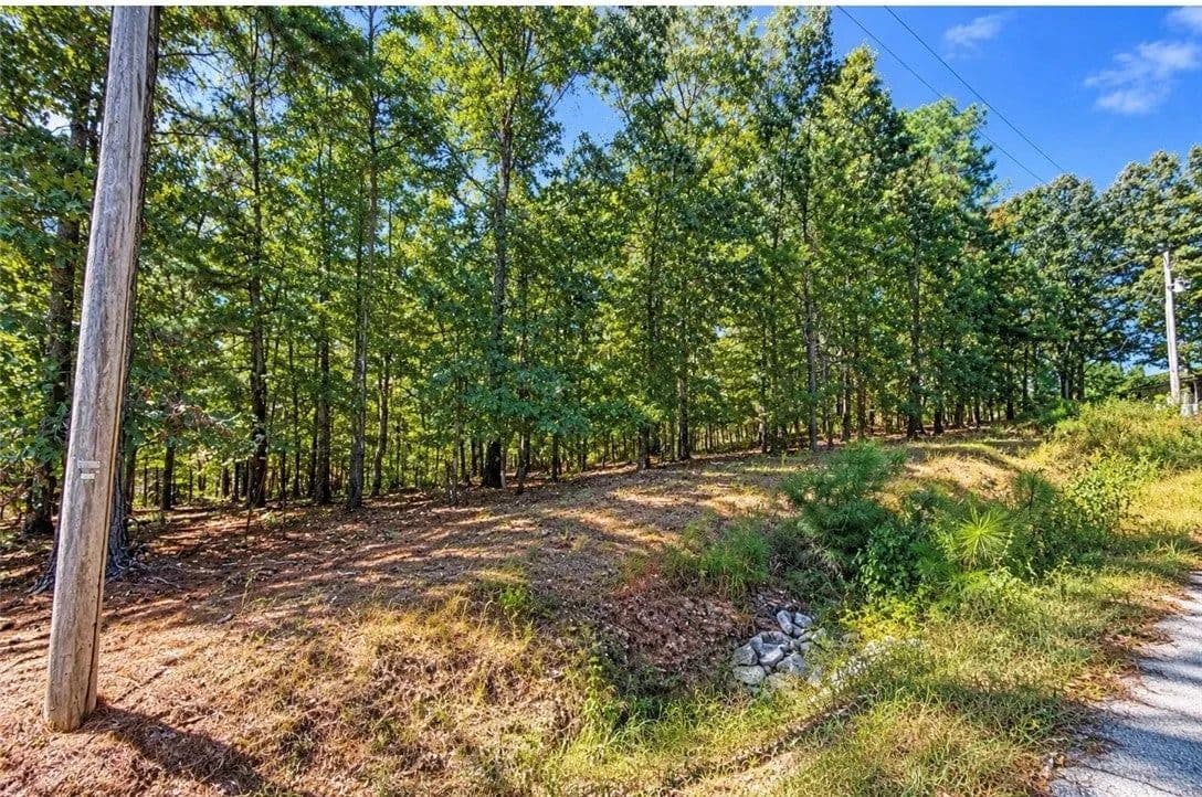 Lots & Land-Other in Bella Vista - Bella Vista, Arkansas, 72715