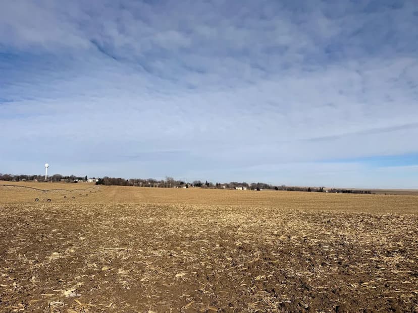 150.04 Acres, +/- Cedar County Cropland