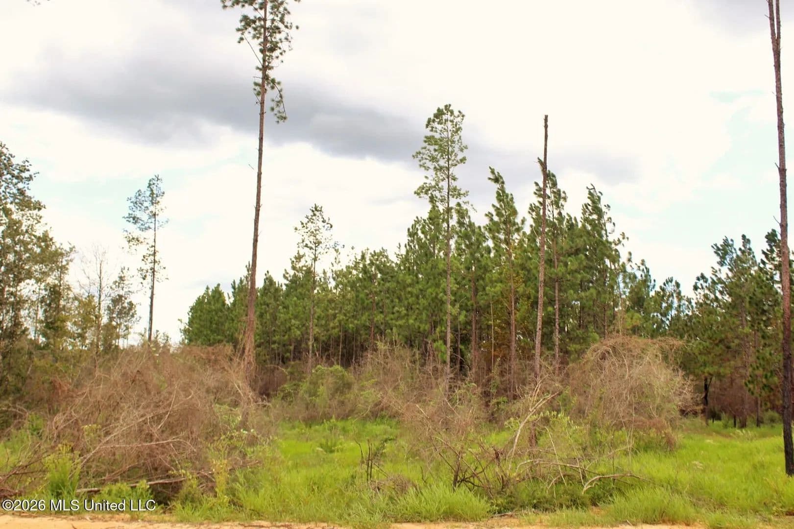 Lots & Land-Other in Lucedale - Lucedale, Mississippi, 39452
