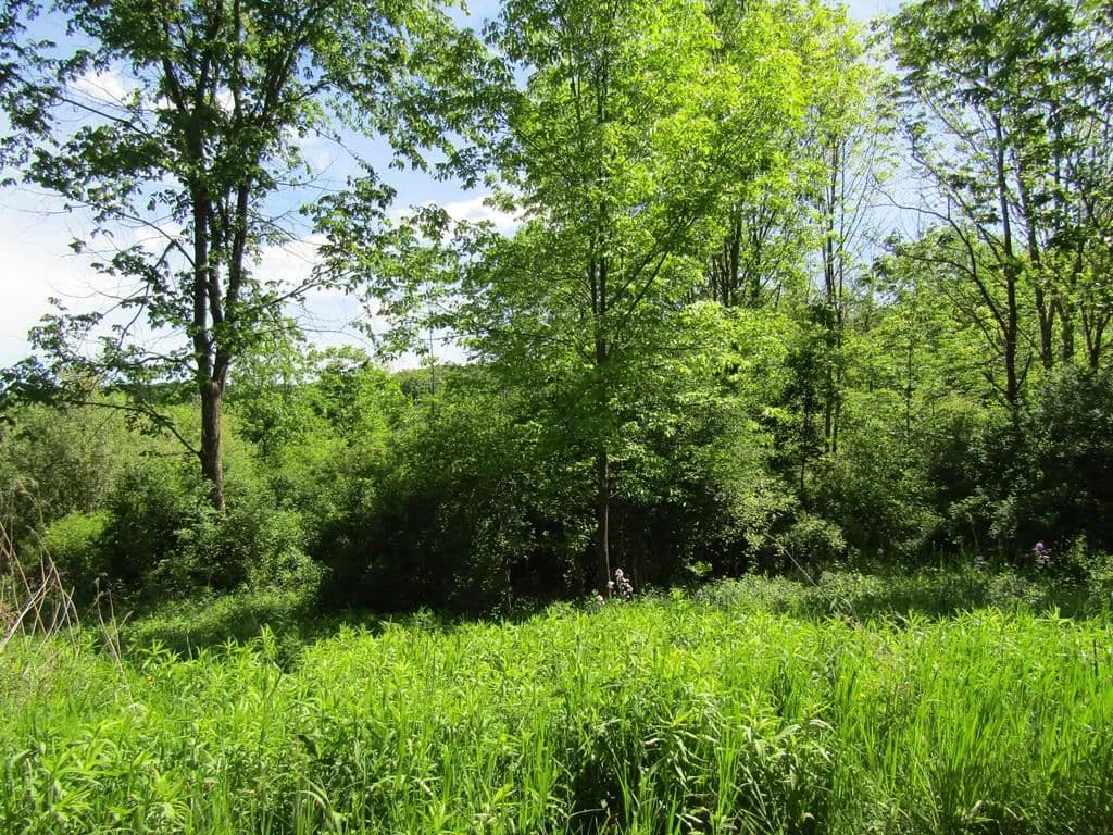 Property from 1779 Packard Rd - KW - Covington, Pennsylvania, 16917