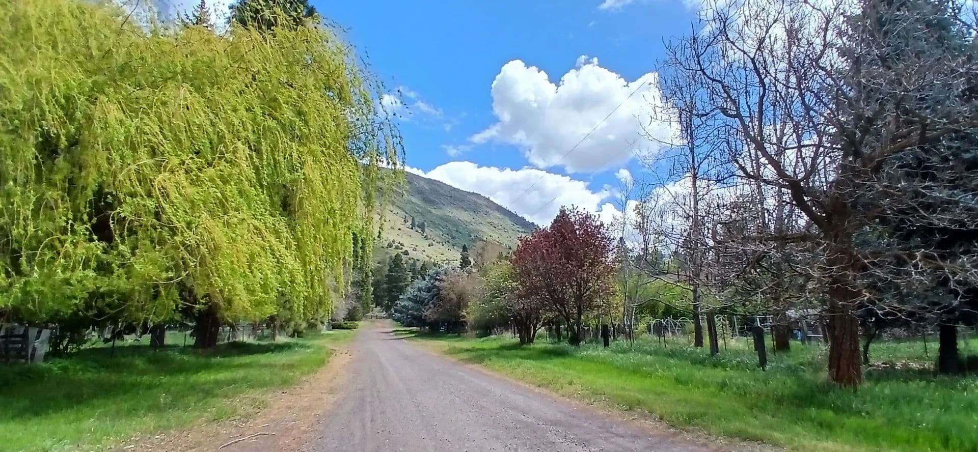 Vacant Land (10+ Acres) in Klamath Falls - Klamath Falls, Oregon, 97601