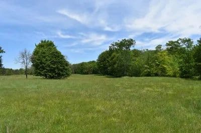 Par for Country Living