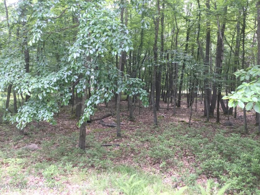 Lots & Land-Other in Hazle Twp