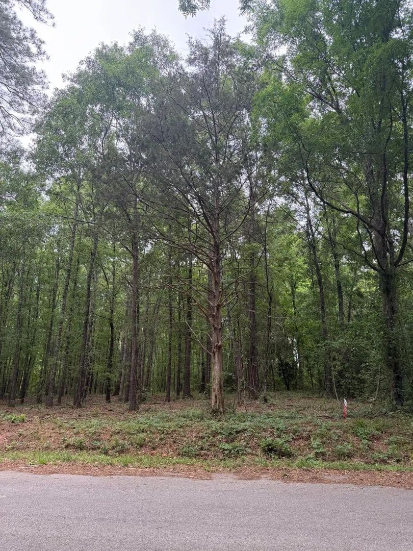 Property from Tbd Pine Valley Drive - KW