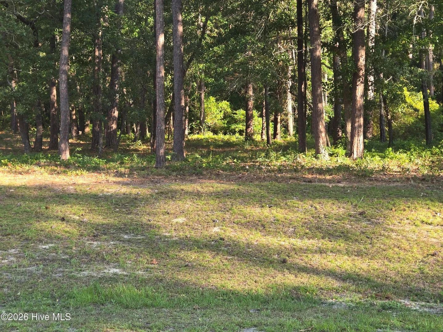 Property from 3840 Timber Stream Drive - KW - Southport, North Carolina, 28461