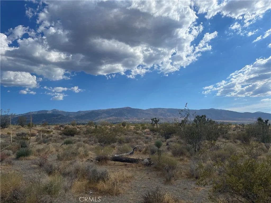 Vacant Land in Pinon Hills - Pinon Hills, California, 92372