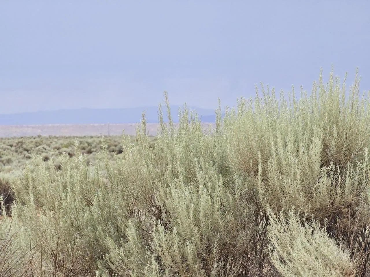 Land -Single Family Acreage in Rio Communities - Rio Communities, New Mexico, 87002