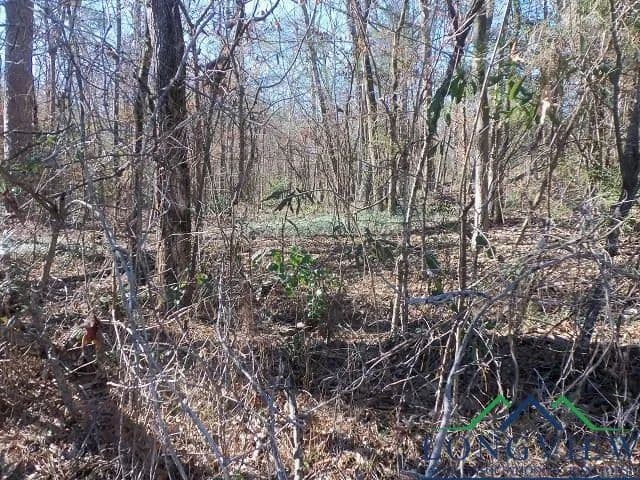 Vacant Land in Kilgore