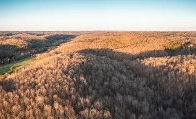 Bunker Bottom Springs