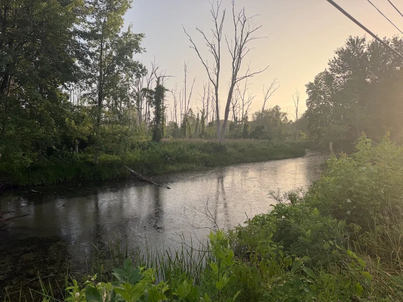 84 acres Recreational Land on Conewango Creek in Frewsburg NY Route 62 - Frewsburg, New York, 14738