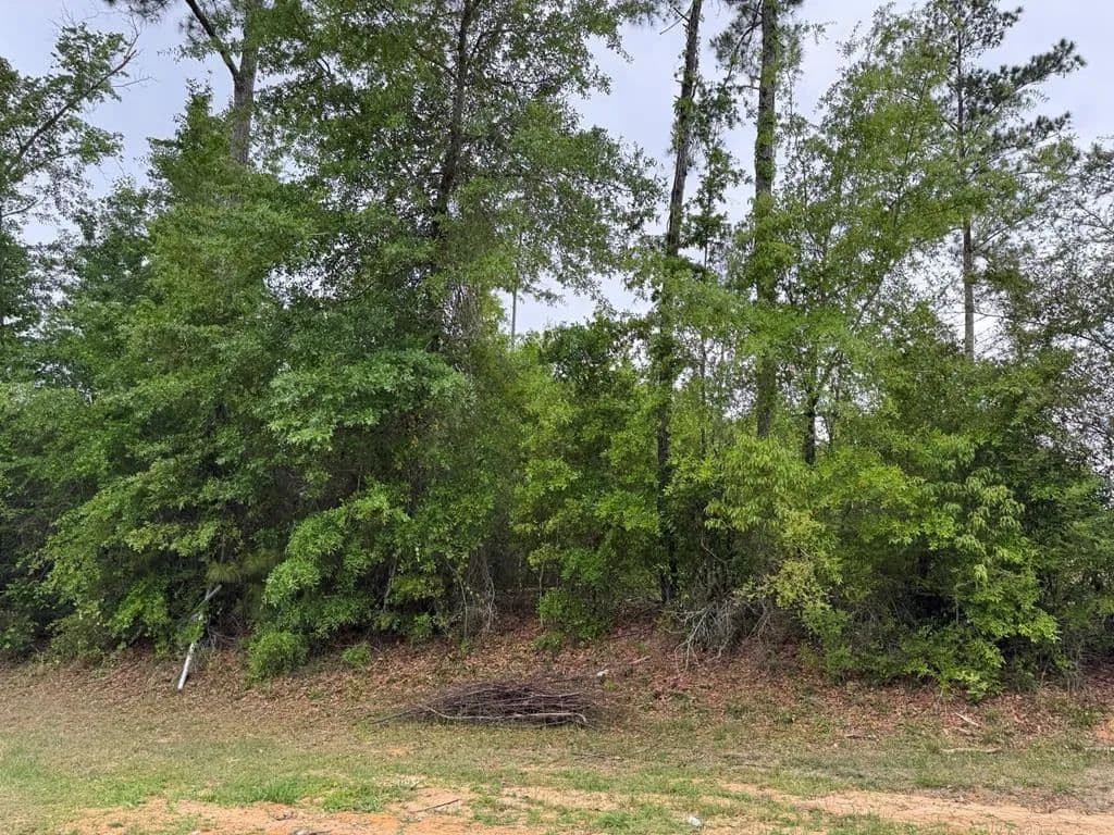 2.82 Acres of Land for Sale in Eastpoint, Florida - Eastpoint, Florida, 32328