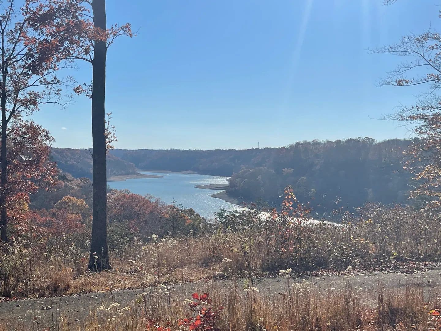 Land -Single Family Acreage in Russell Springs - Russell Springs, Kentucky, 42642