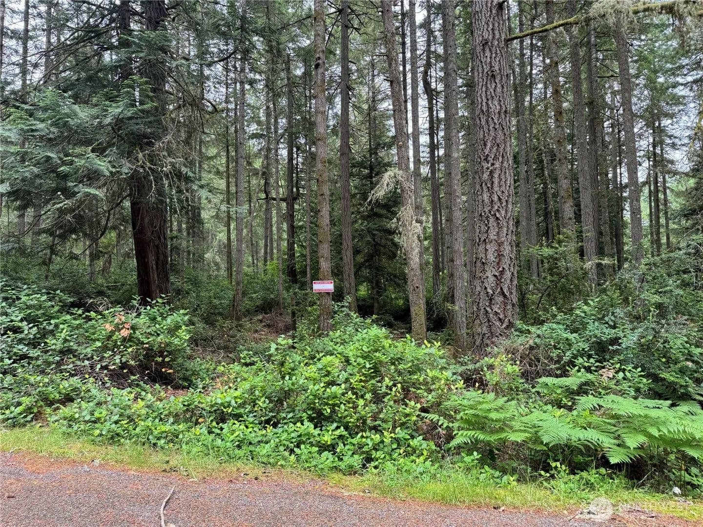 Vacant Land in Anderson Island - Anderson Island, Washington, 98303