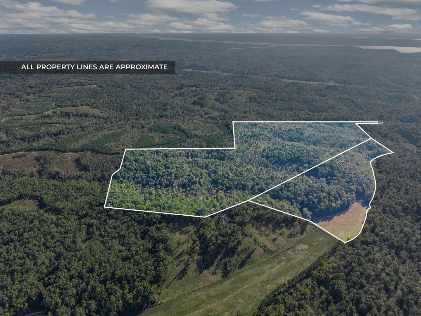 Land -Single Family Acreage in Dover - Dover, Tennessee, 37058