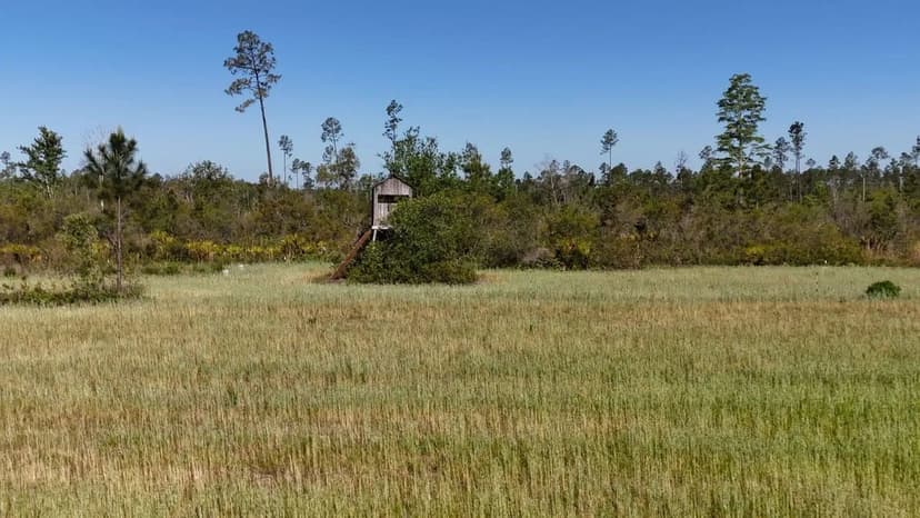 74 Acres of Prime Hunting and Recreational Property
