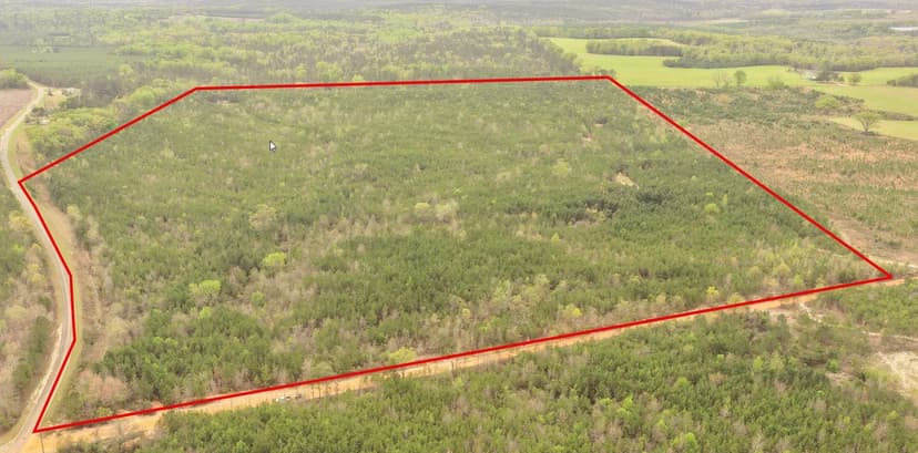 93.425 acres in Marion County, just north of Buena Vista.