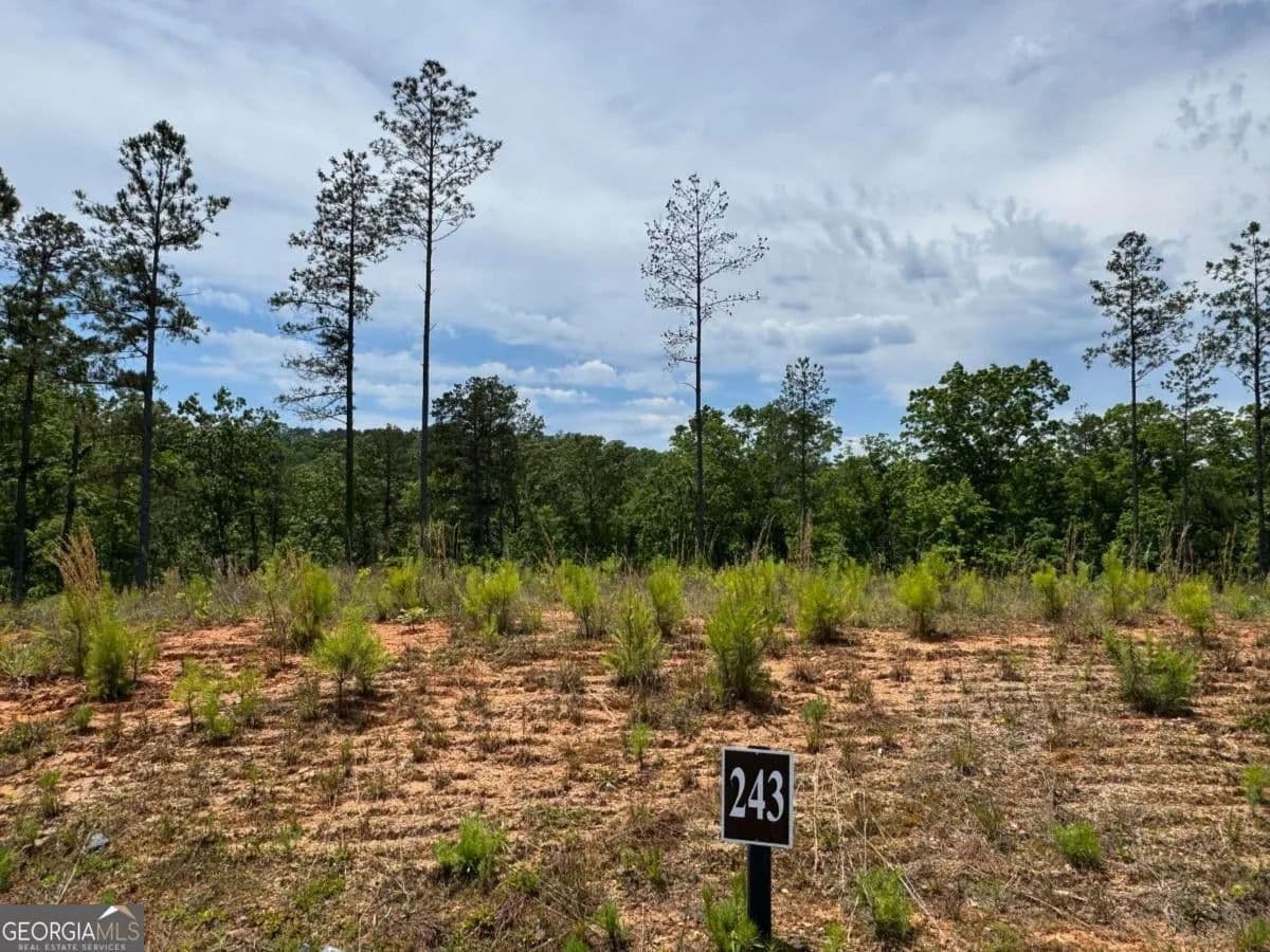 Lots & Land-Other in Talking Rock - Talking Rock, Georgia, 30175