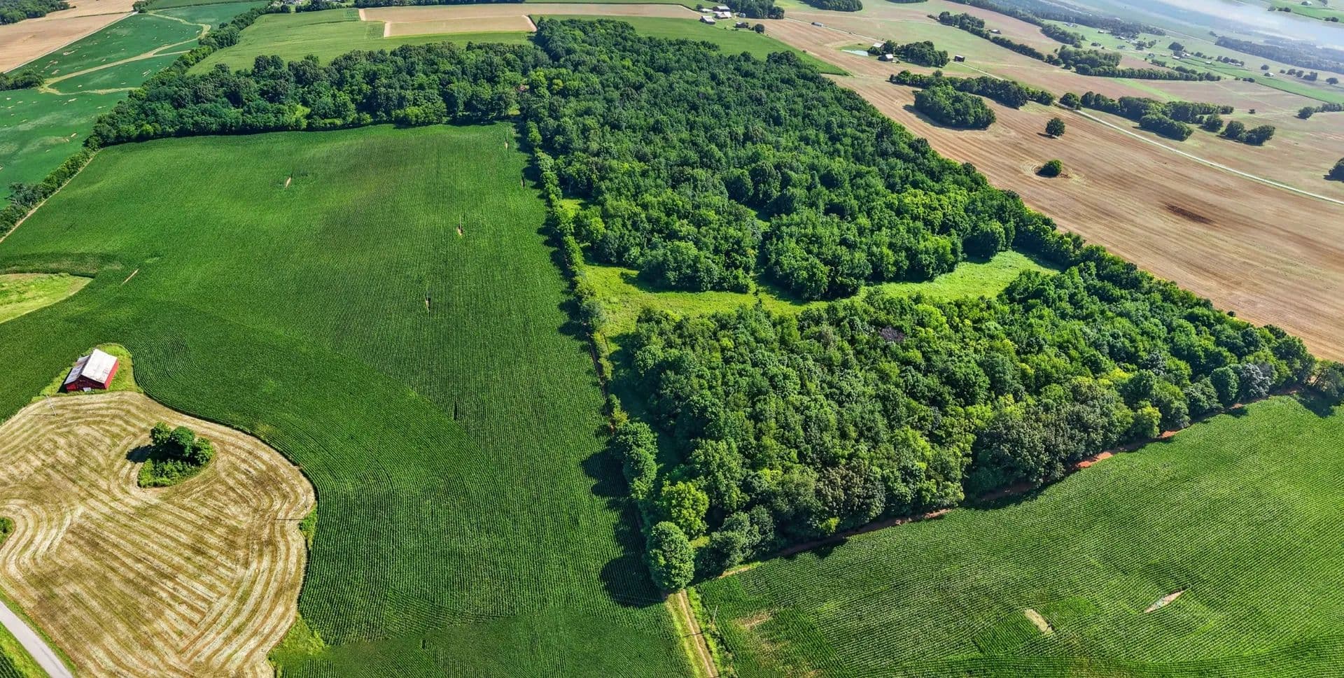 Land -Agricultural (Not Zoned) in Springfield - Springfield, Tennessee, 37172