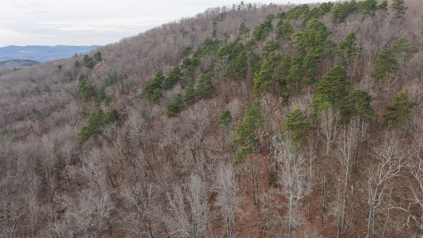 9.22 Acres in Polk County, AR 