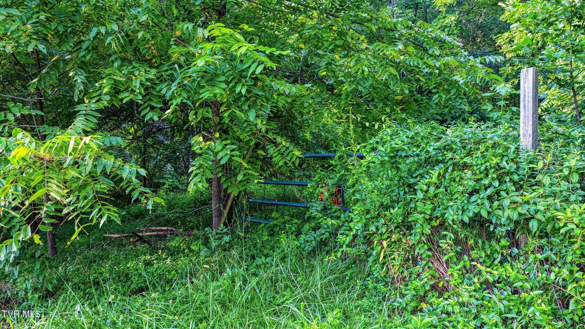 2.6 Acres of Land for Sale in Jonesborough, TN - Jonesborough, Tennessee, 37659