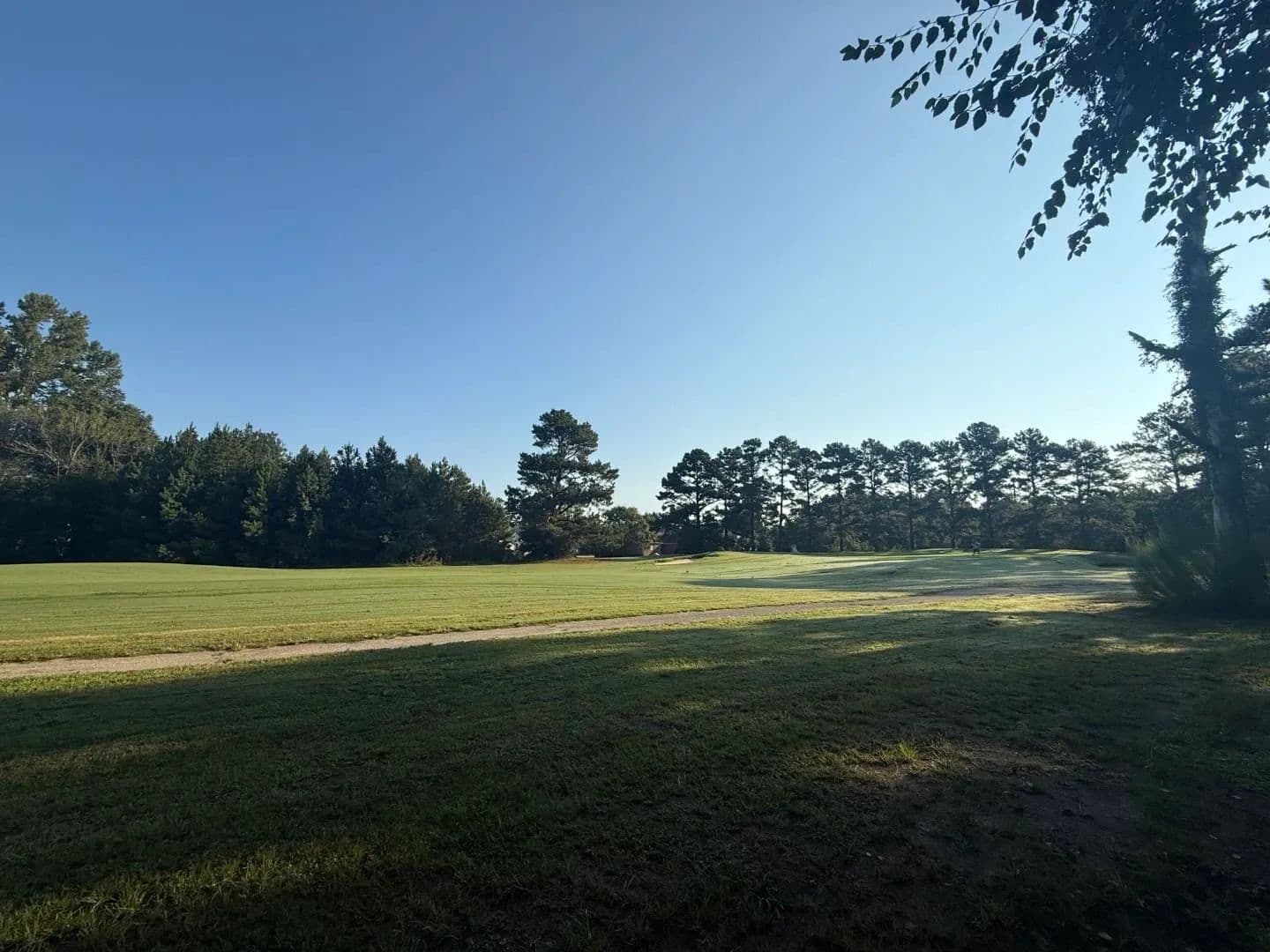 Vacant Land in Johnsonville - Johnsonville, South Carolina, 29555