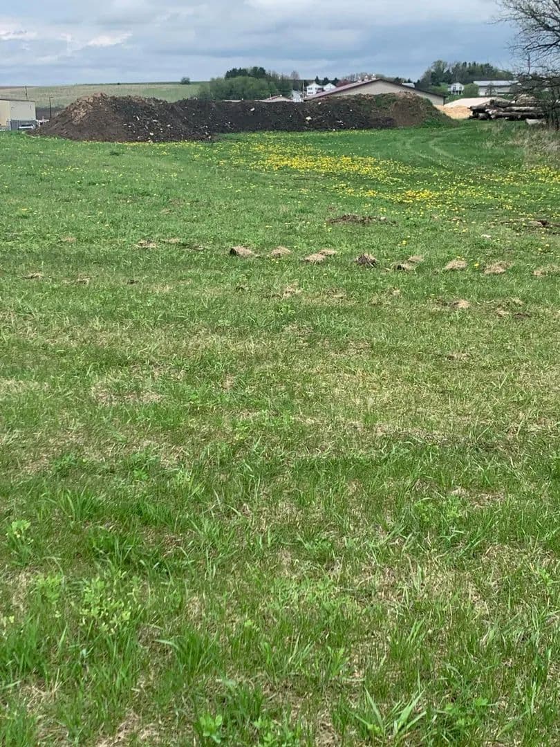 Vacant Land in Saint Charles - Saint Charles, Minnesota, 55972