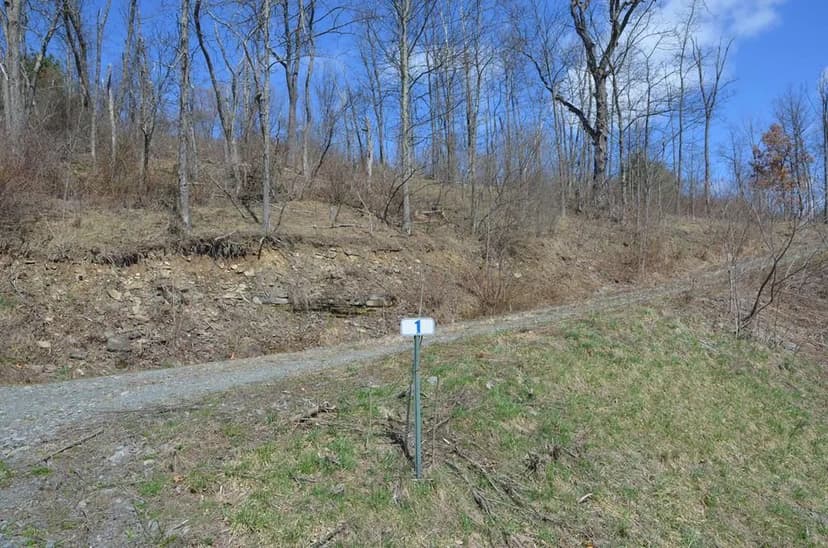 Lots & Land-Other in Towanda