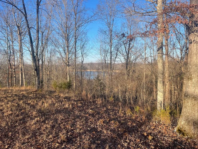 Land -Single Family Acreage in Monticello