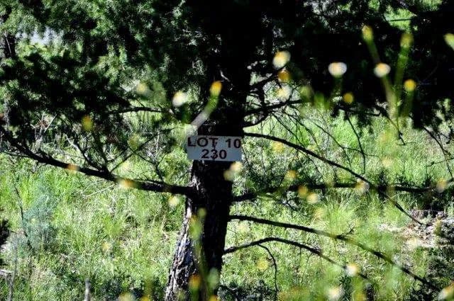 Land -Agricultural (Not Zoned) in Ruidoso - Ruidoso, New Mexico, 88345