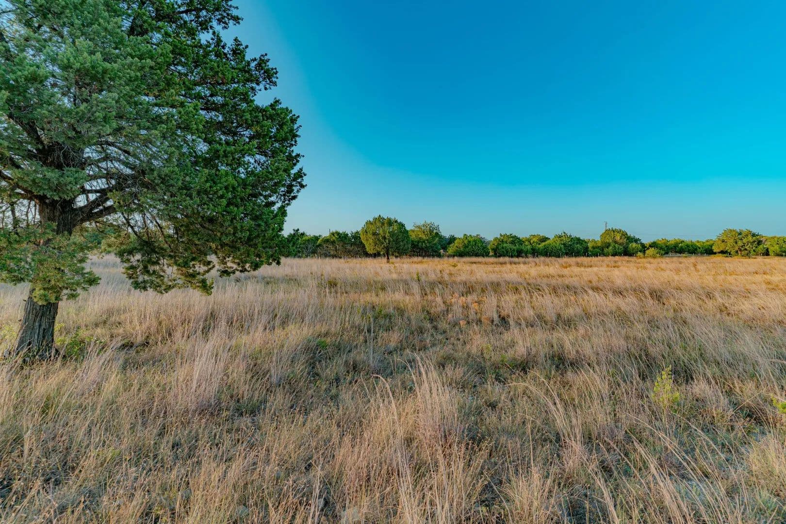 Land -Single Family Acreage in Florence - Florence, Texas, 76527