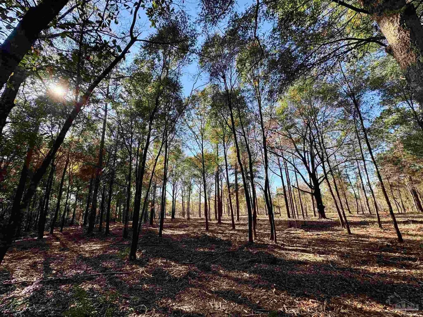 3.65 Acres of Land for Sale in Crestview, FL - Crestview, Florida, 32536