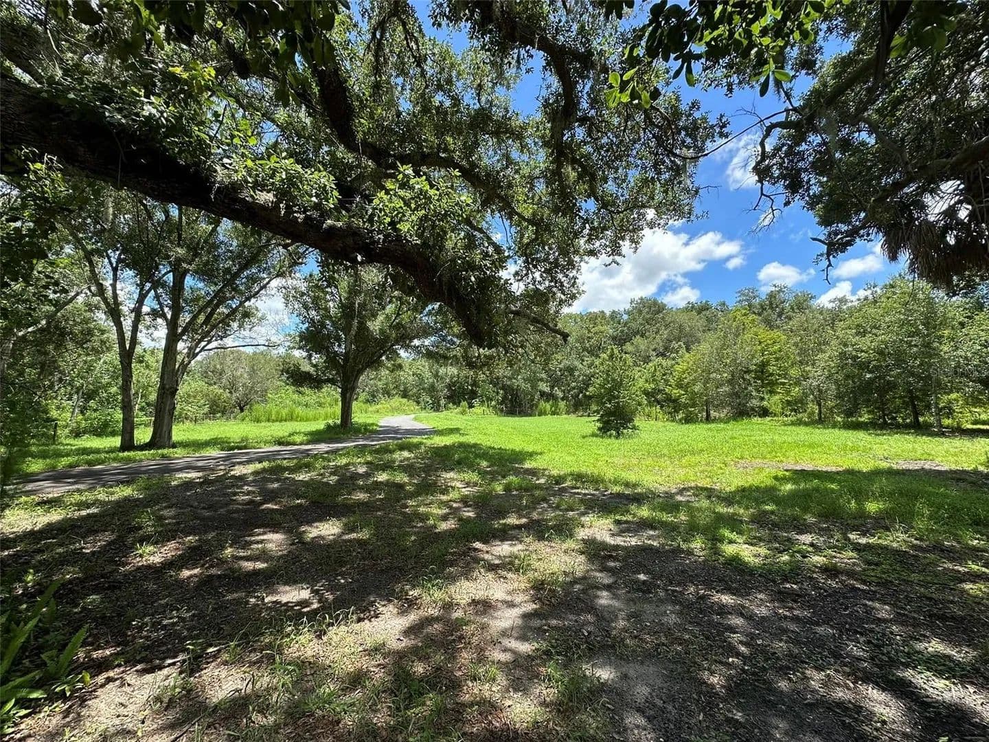 4.19 Acres of Land for Sale in PALM HARBOR, FL - Palm Harbor, Florida, 34683