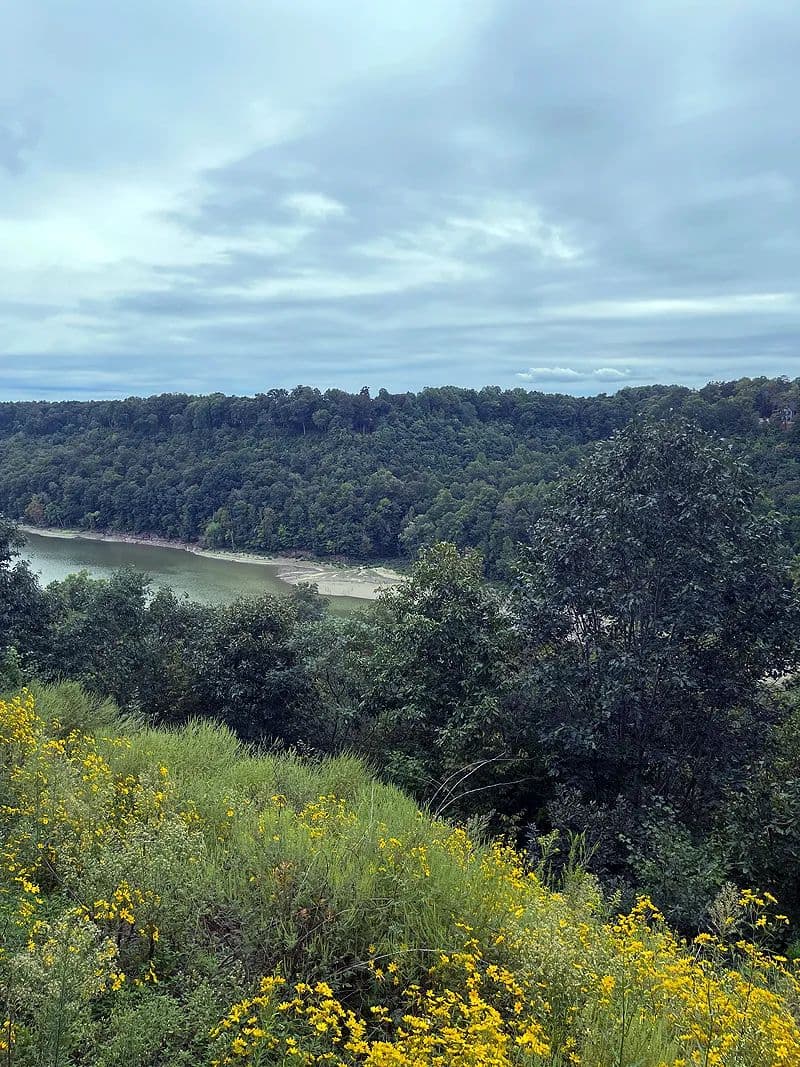 Land -Single Family Acreage in Russell Springs - Russell Springs, Kentucky, 42642