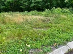 Vacant Land in Altoona - Altoona, Pennsylvania, 16601