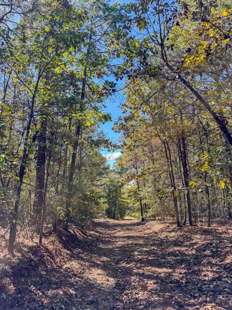 Lots & Land-Other in Avinger - Avinger, Texas, 75630