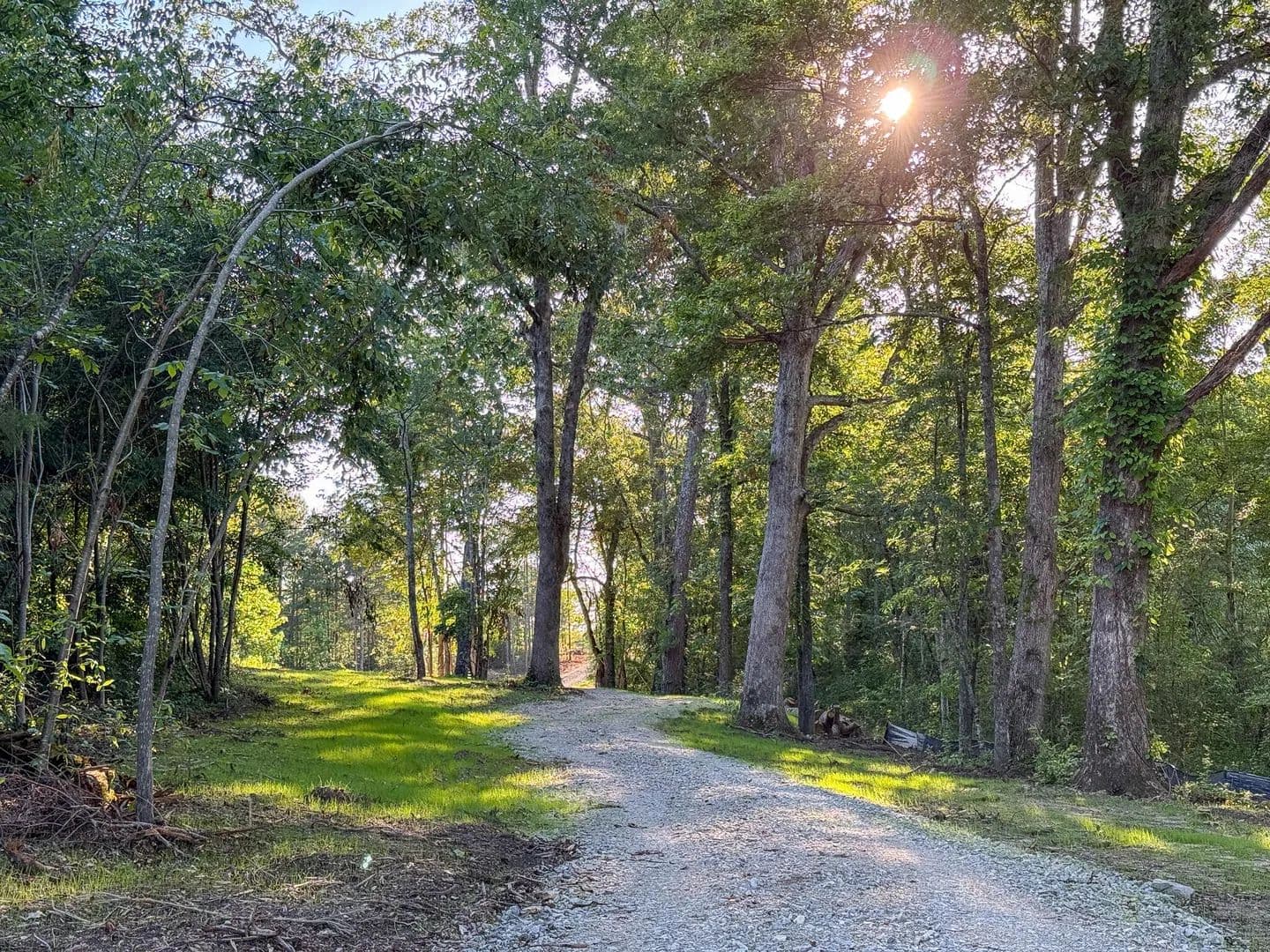 10 Acres of Land for Sale in Trenton, Georgia - Trenton, Georgia, 30752
