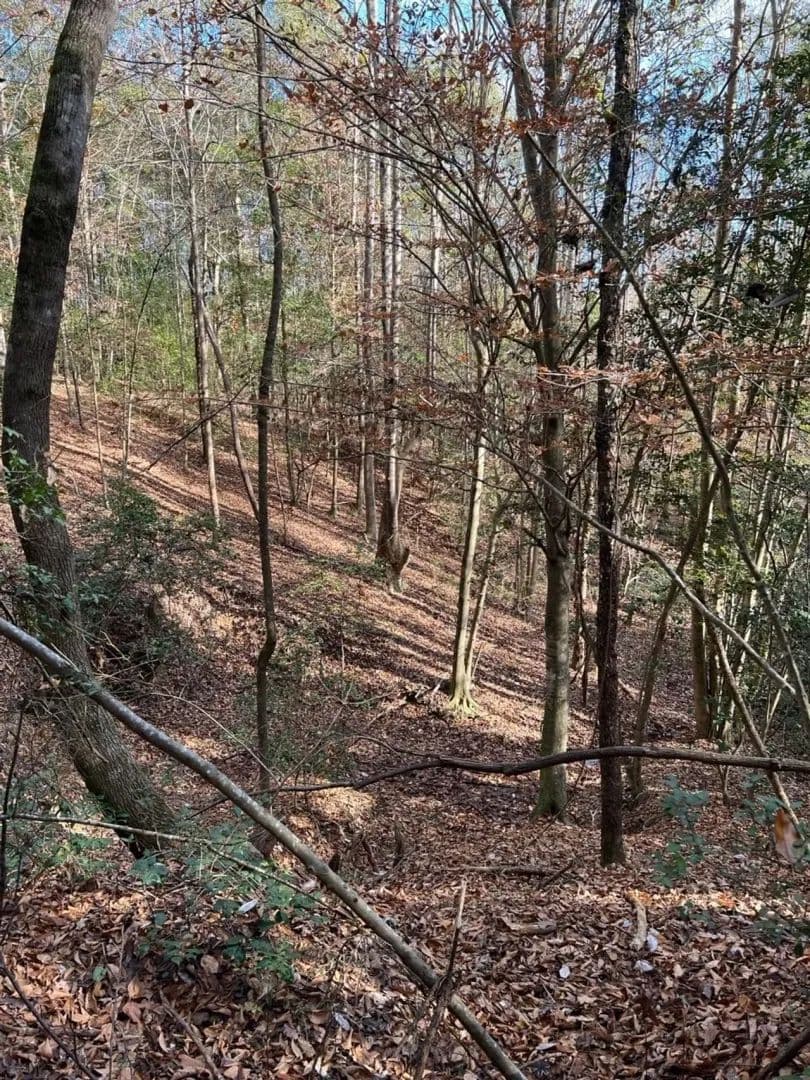 21 ac in Autauga Co near Independence - Independence, Alabama, 36006