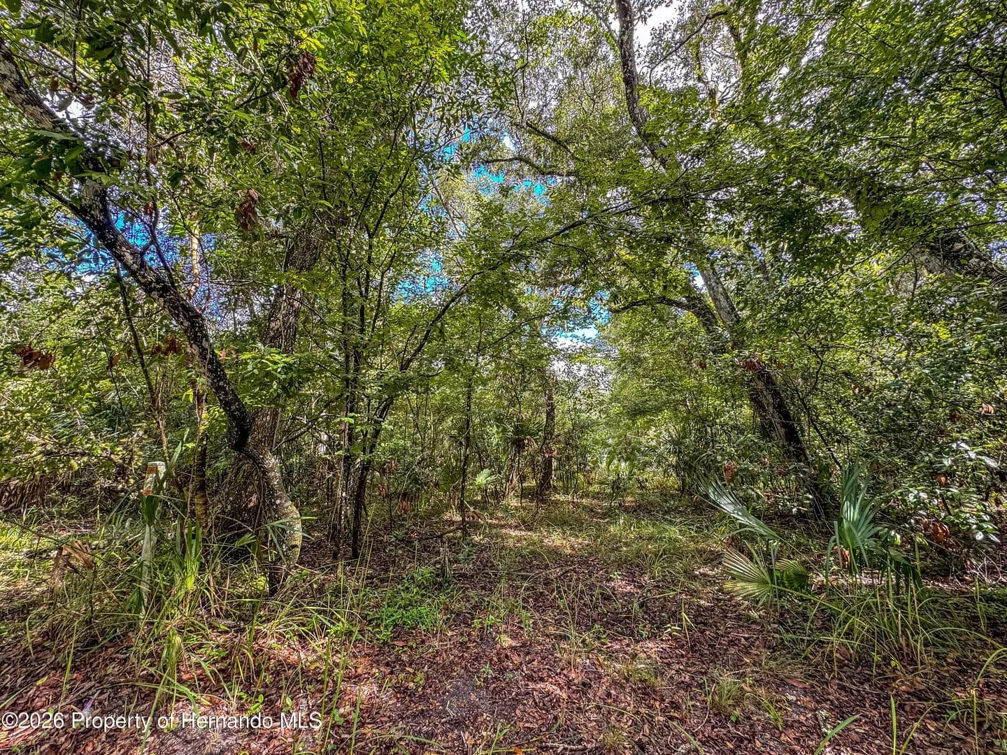 Vacant Land in Brooksville - Brooksville, Florida, 34601