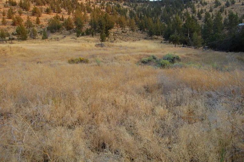 Vacant Land in Prineville