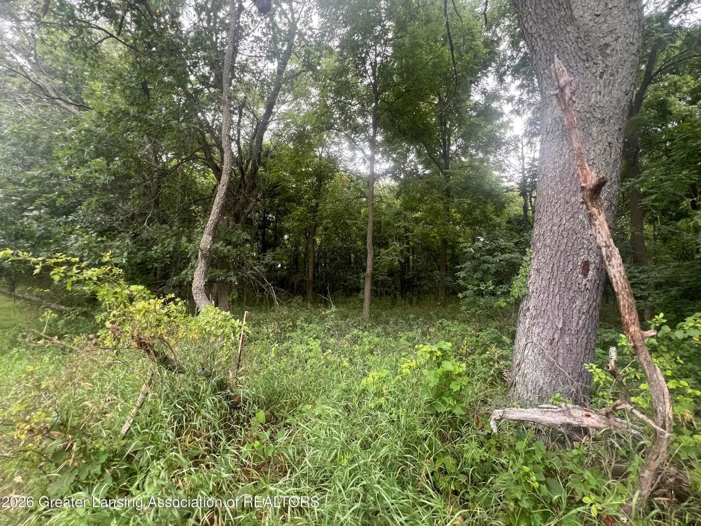 Vacant Land in Eaton Rapids - Eaton Rapids, Michigan, 48827