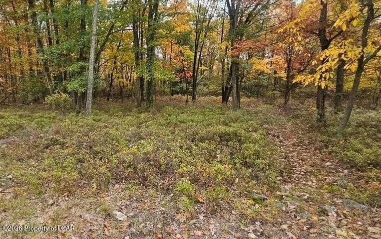 Lots & Land-Other in Hazle Twp - Pennsylvania, 18202