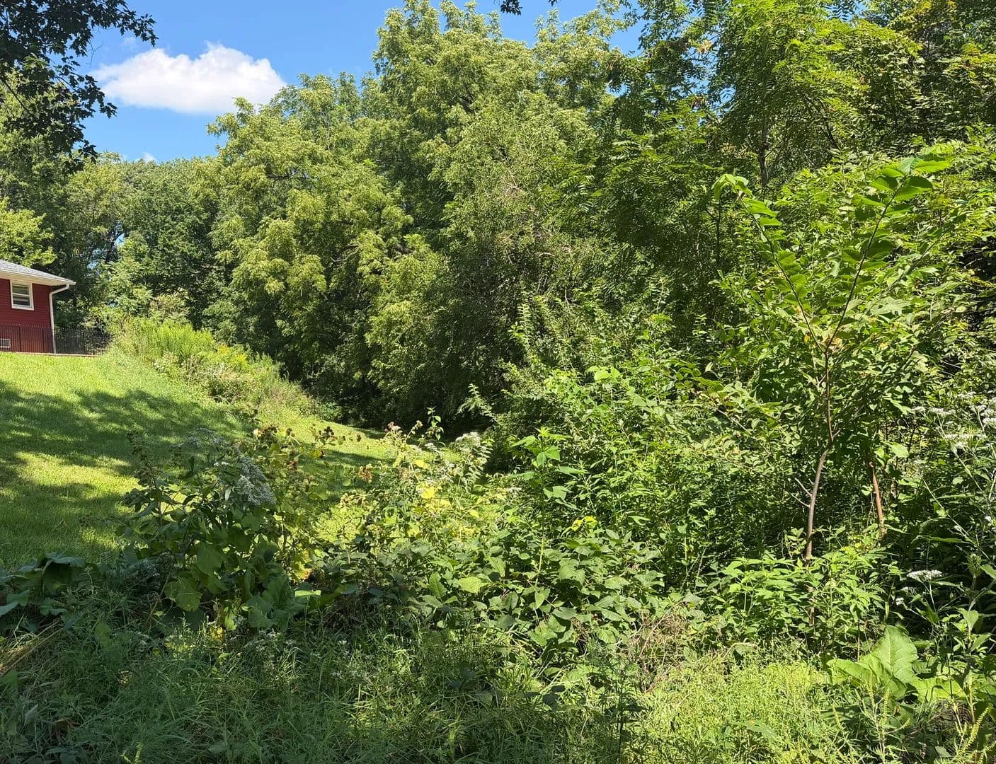 Land -Single Family Acreage in Oglesby - Oglesby, Illinois, 61348