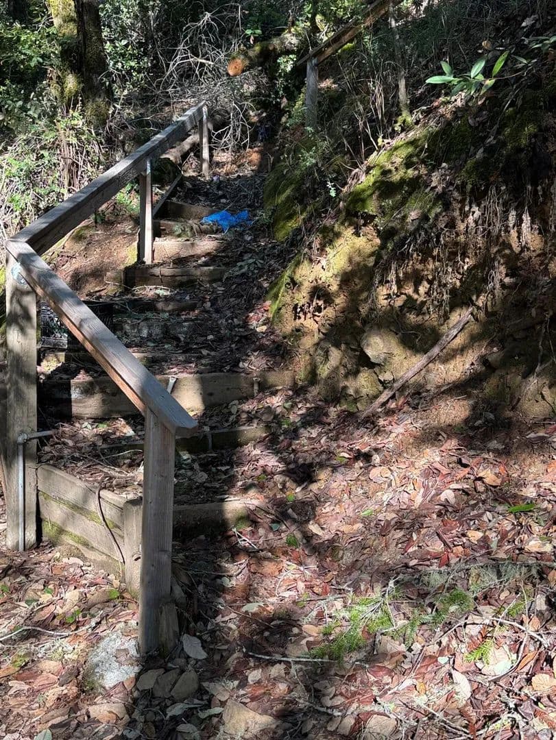 Vacant Land in Guerneville